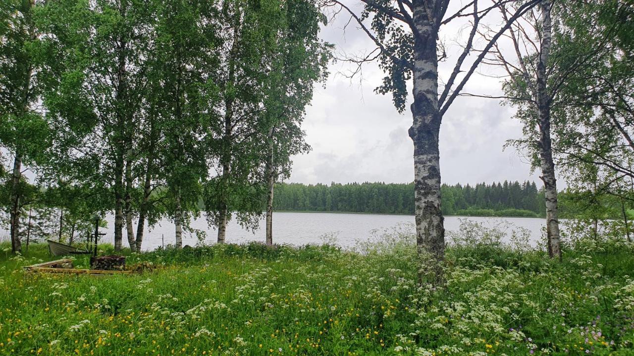 Viihtyisae Kolmio Jaerven Rannalla Haapavesi Esterno foto