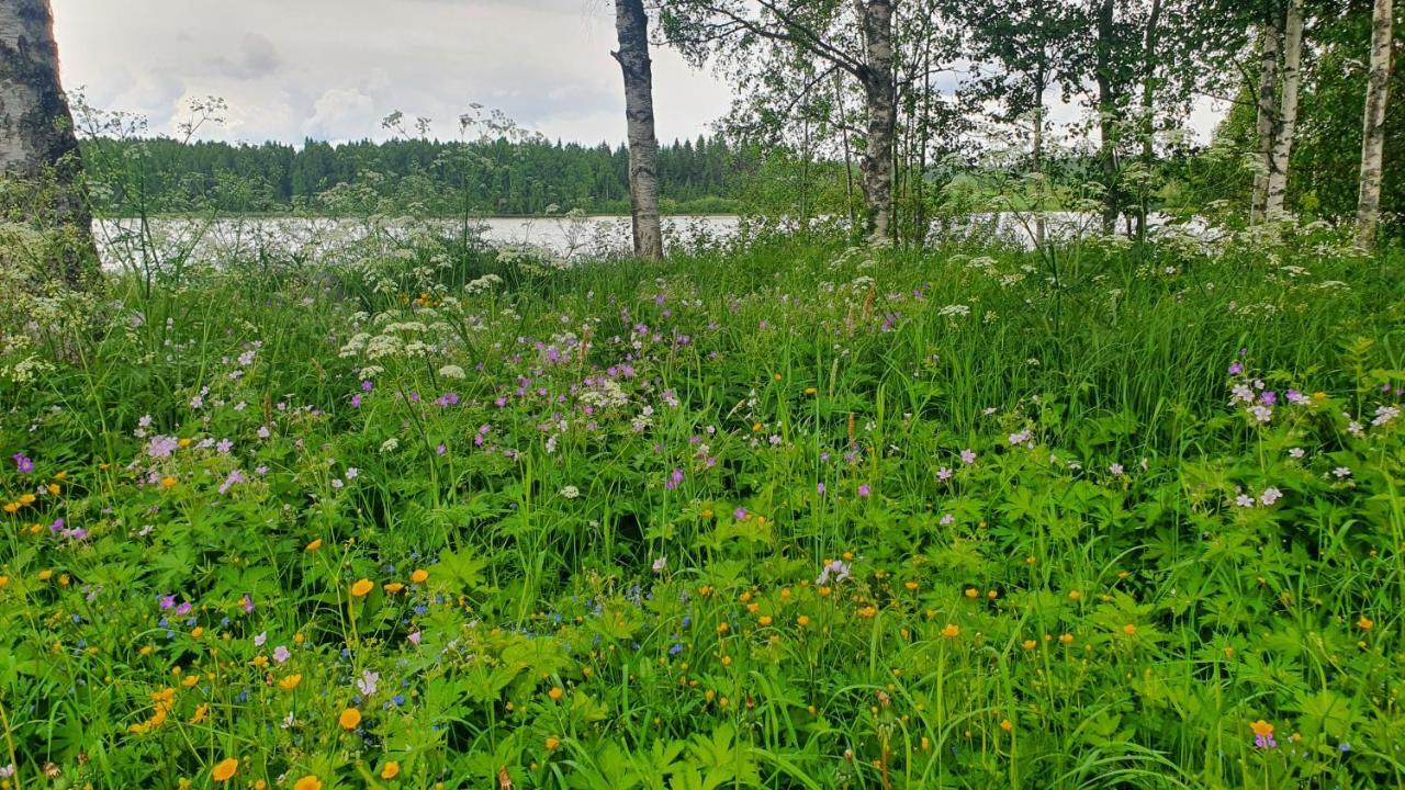 Viihtyisae Kolmio Jaerven Rannalla Haapavesi Esterno foto